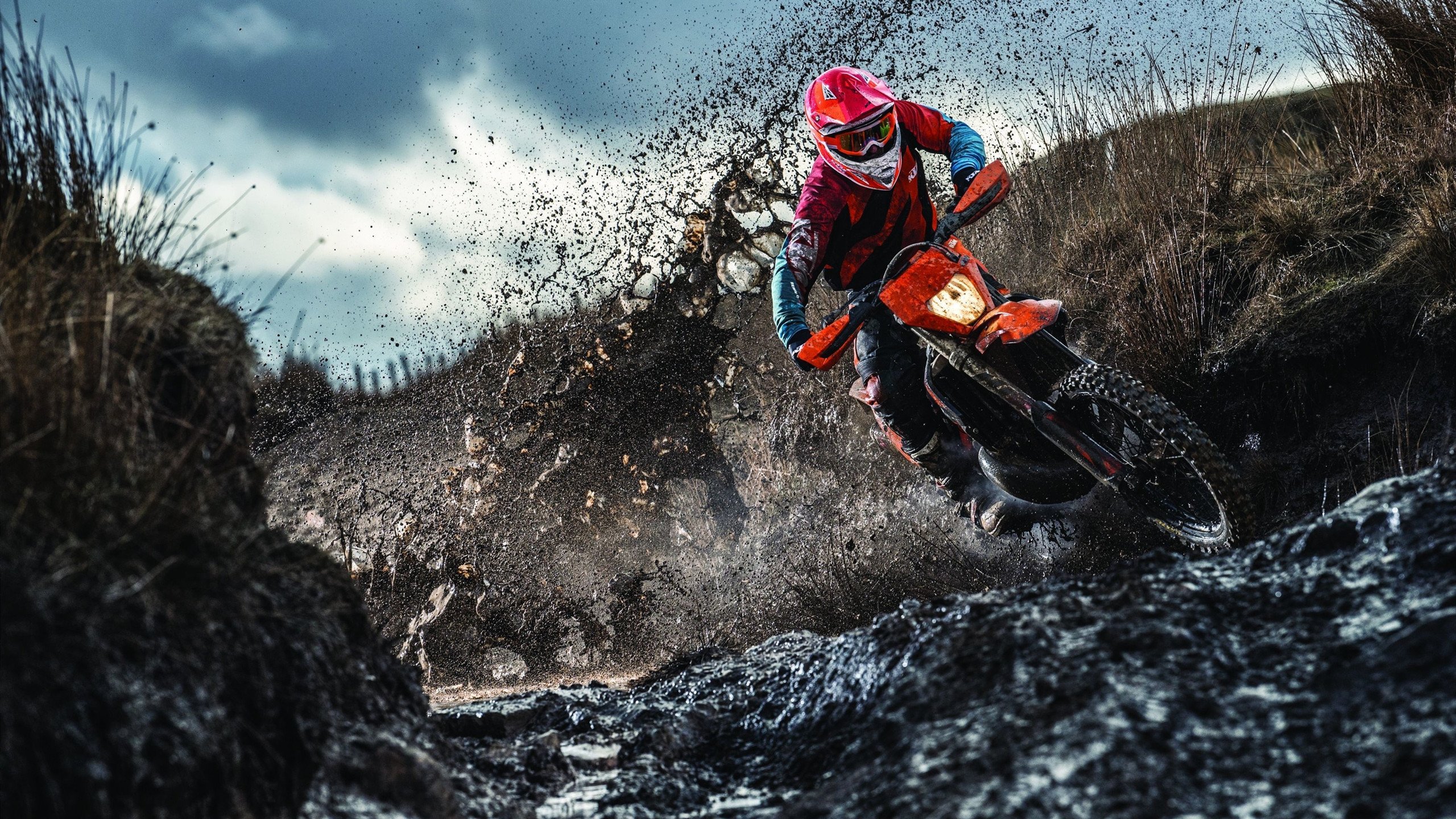 欧洲环法：丹麦新星崛起，骑行精彩纷呈！，丹麦 欧洲